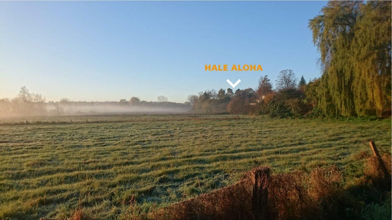 Hale Aloha Holiday home Felde