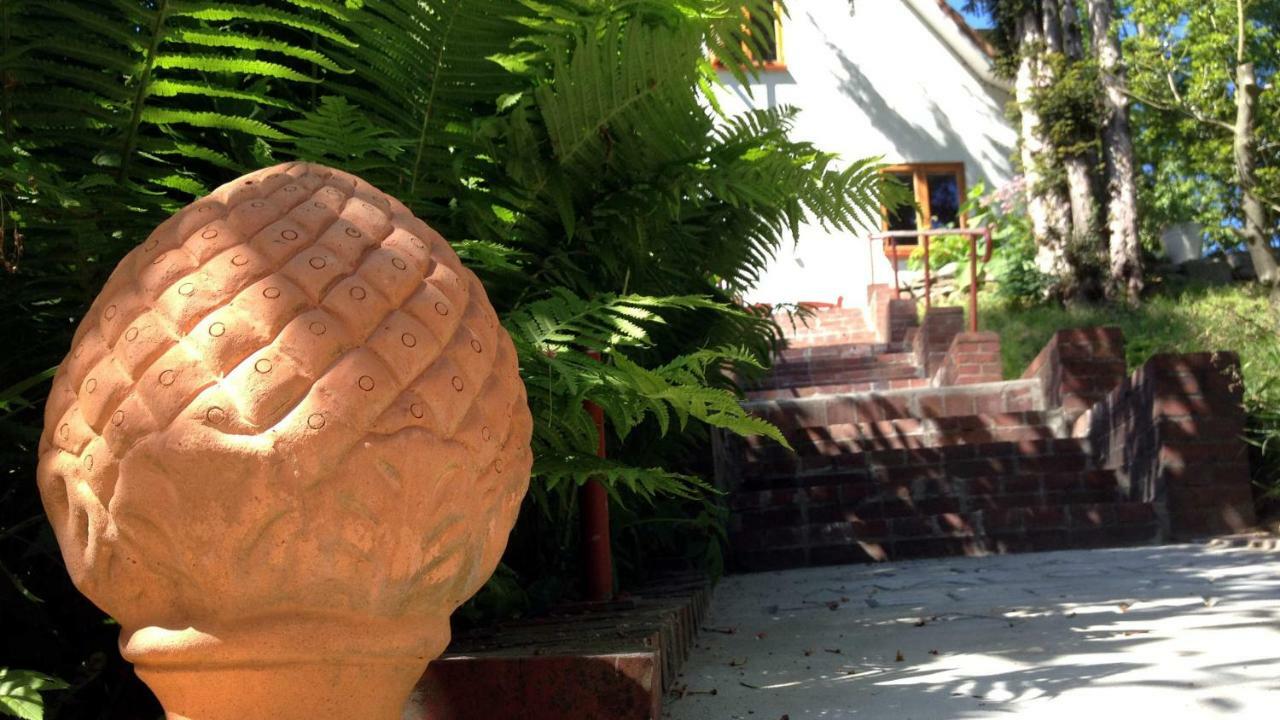 Hale Aloha Hébergement de vacances Felde